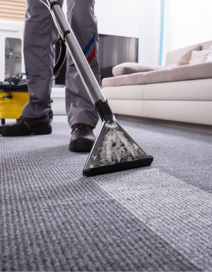 Carpet Cleaning Carpet Cleaning