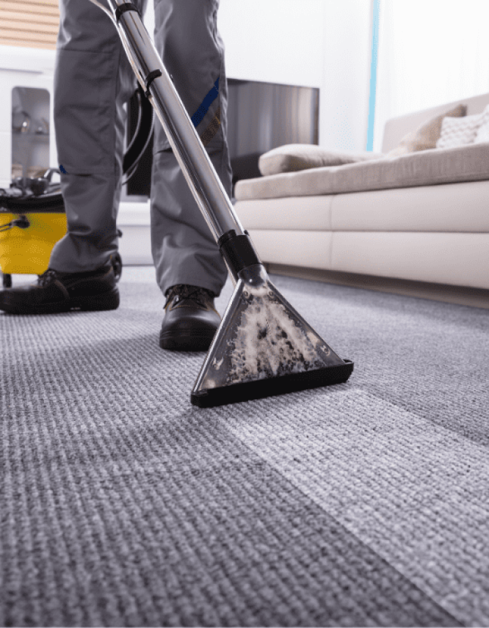 Carpet Cleaning