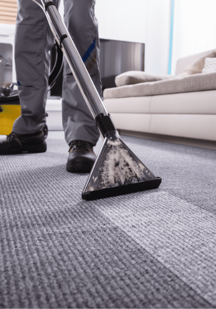 Carpet Cleaning Carpet Cleaning