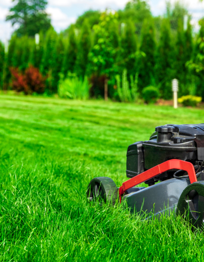 lawn maintenance lawn maintenance